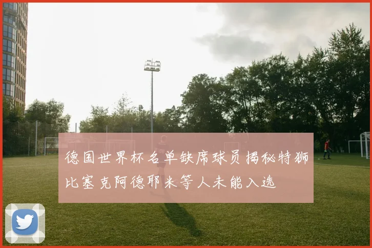 德国世界杯名单缺席球员揭秘特狮比塞克阿德耶米等人未能入选