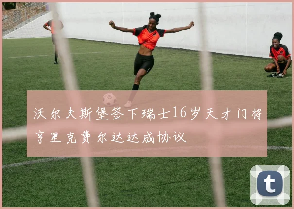 沃尔夫斯堡签下瑞士16岁天才门将亨里克费尔达达成协议